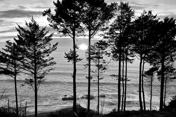 Joshua Paul — black and white fine art photographer
